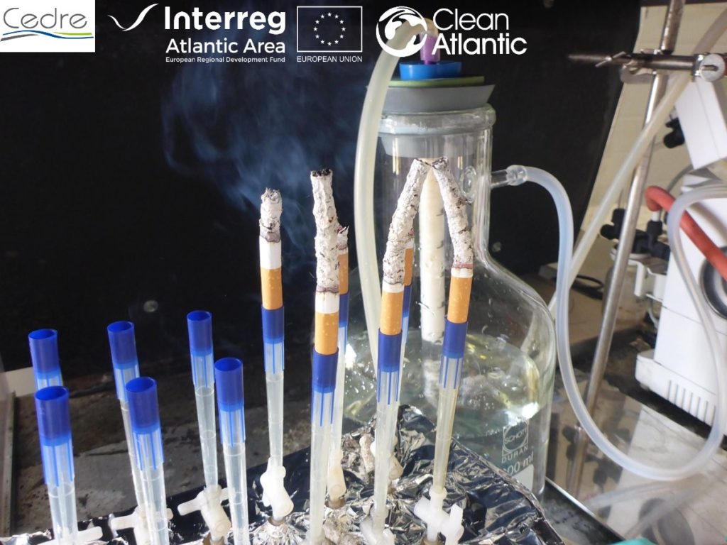 Assessing the impact of marine litter