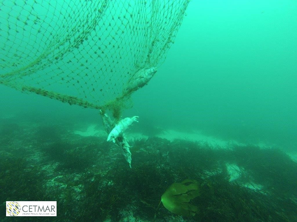 Abandoned, lost or otherwise discarded fishing gear (ALDFG) in marine areas