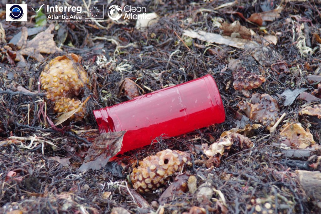 Marine litter in coastal areas