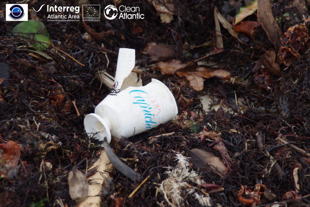 Marine litter in coastal areas