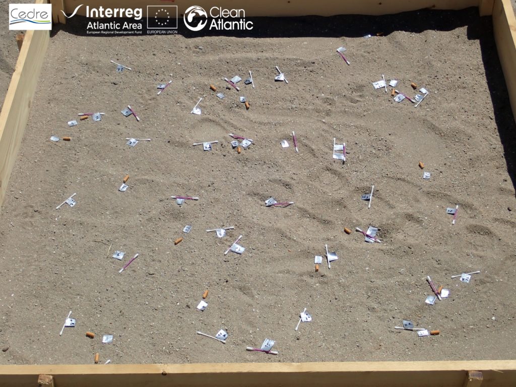 Assessing the impact of marine litter