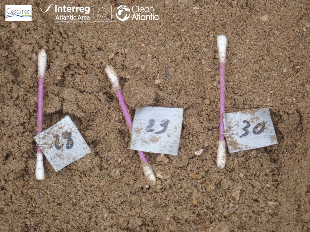 Assessing the impact of marine litter