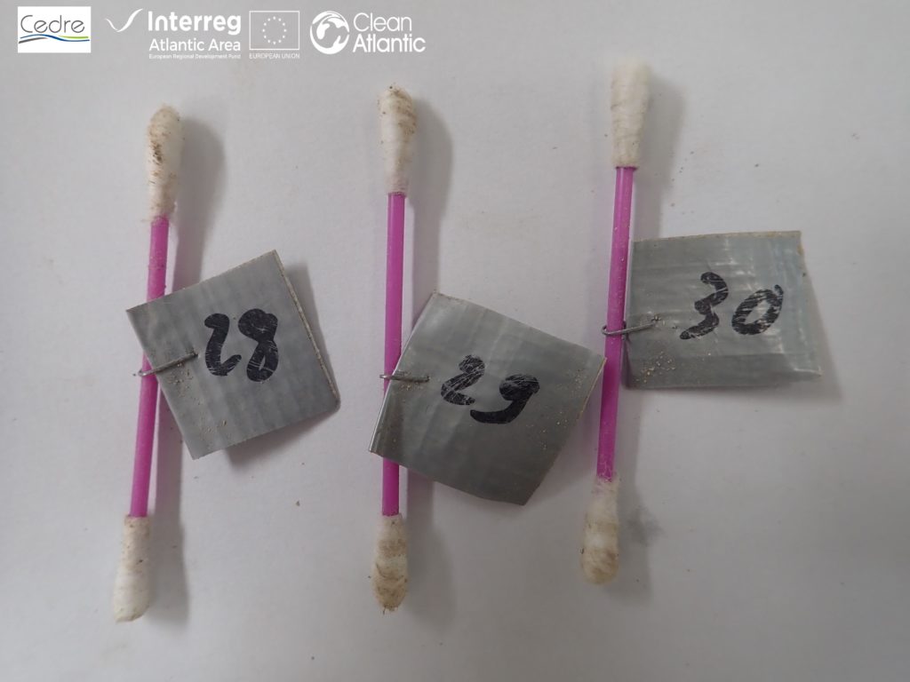 Assessing the impact of marine litter
