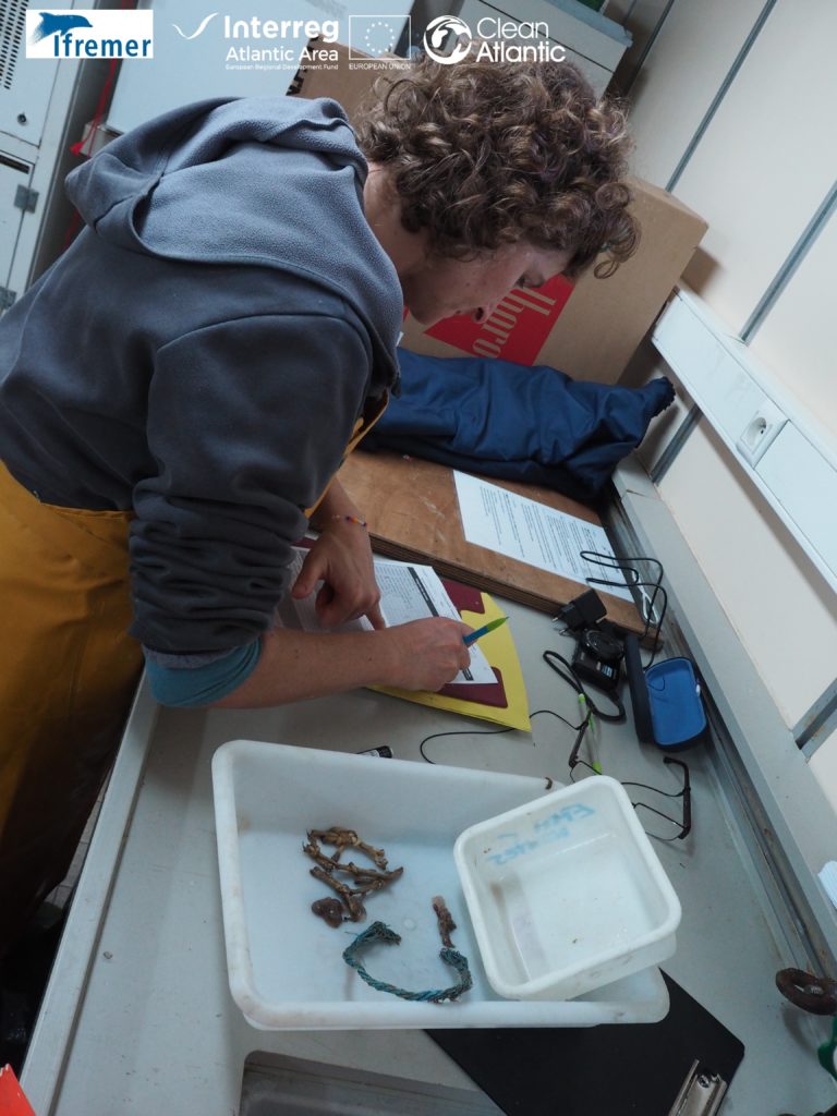 Processing samples in the lab