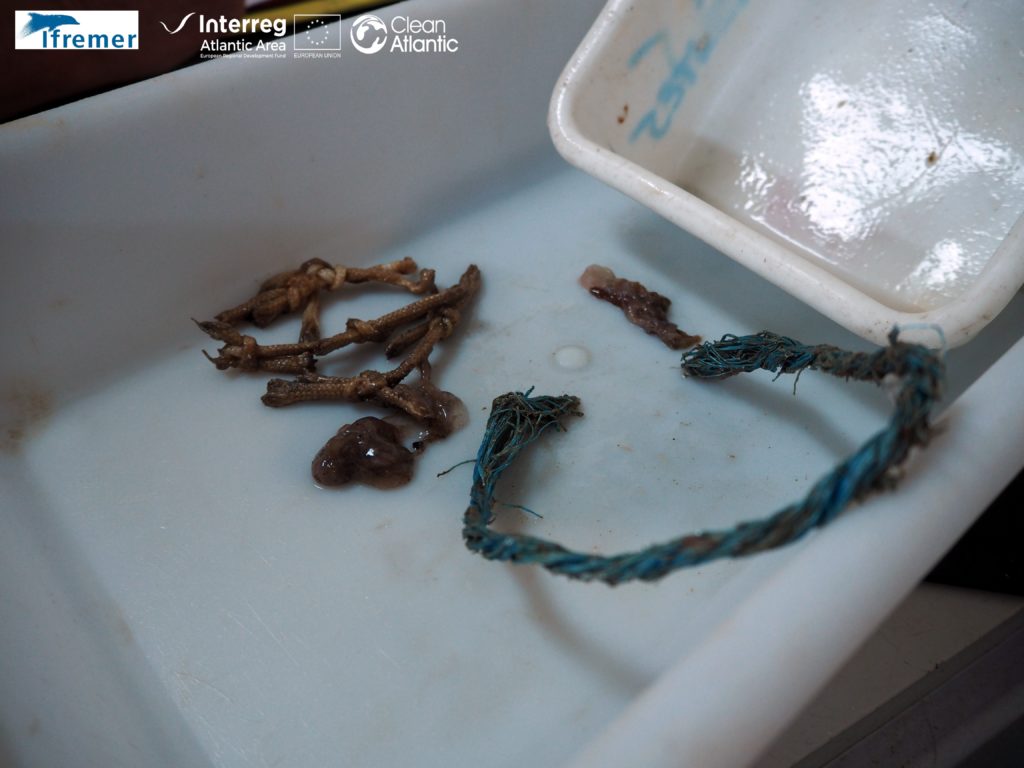 Processing samples in the lab