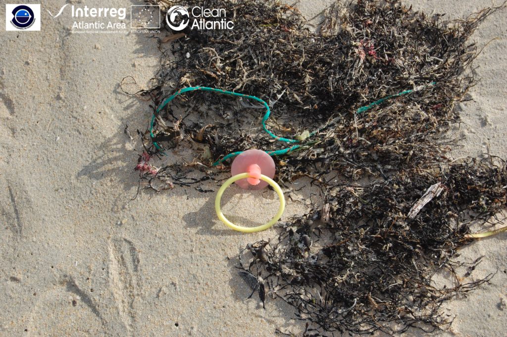Marine litter in coastal areas