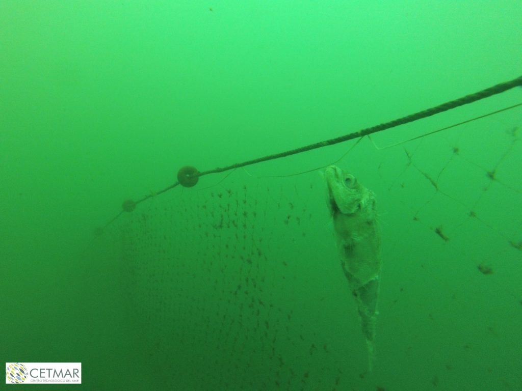 Abandoned, lost or otherwise discarded fishing gear (ALDFG) in marine areas